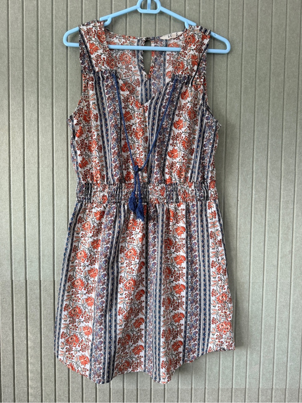 Blush Sleeveless Floral Stripe Mini Dress - Blue & Rust